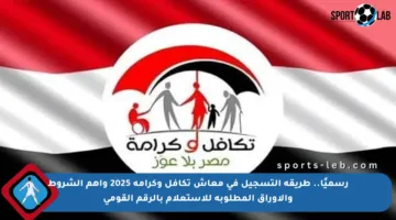 رسميًا.. طريقة التسجيل في معاش تكافل وكرامة 2025 وأهم الشروط والأوراق المطلوبة للاستعلام بالرقم القومي